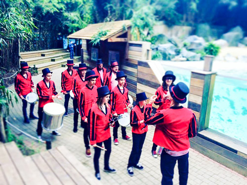 Groupe de batucada au zoo